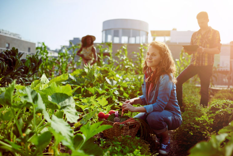 La Ecociudad Como Una Alternativa Sana Descubre Qu Es Transformando