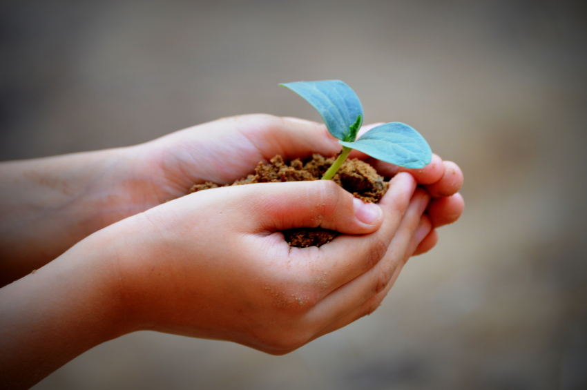 cambio-climatico-niños