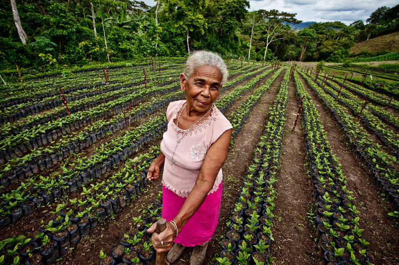 tipos-de-cooperativas