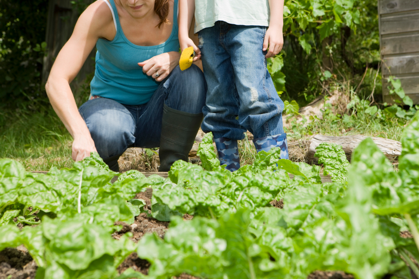 actividades-infantiles-consumo-responsable-agua