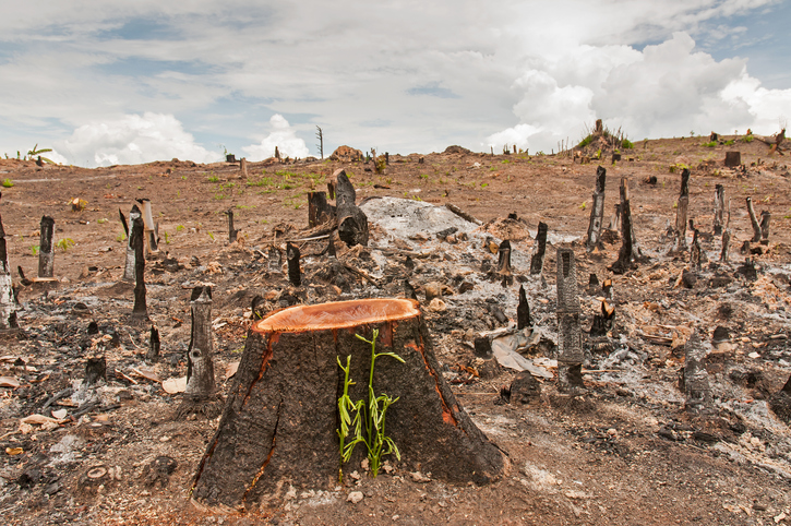 Deforestación en la Amazonia Colombiana