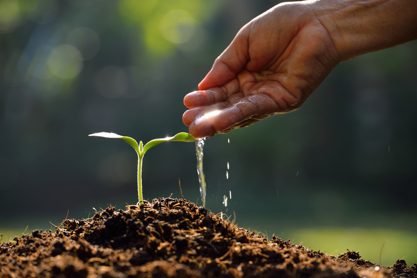 responsabilidad medioambiental