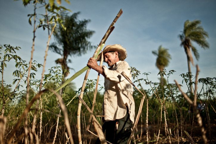 "agricultor-cooperativa-manduvira"