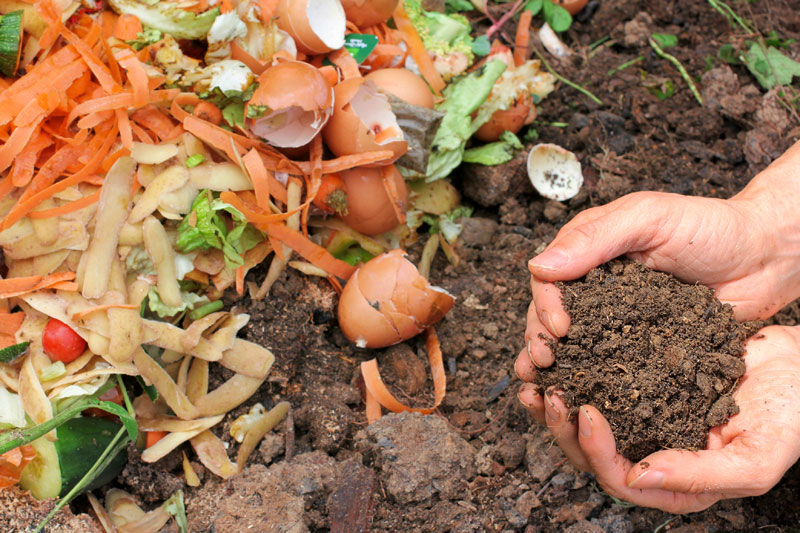 Cómo hacer compost casero? | Ingredientes que Suman