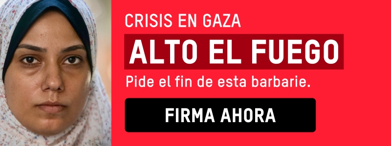 Firma por un alto el fuego en Gaza