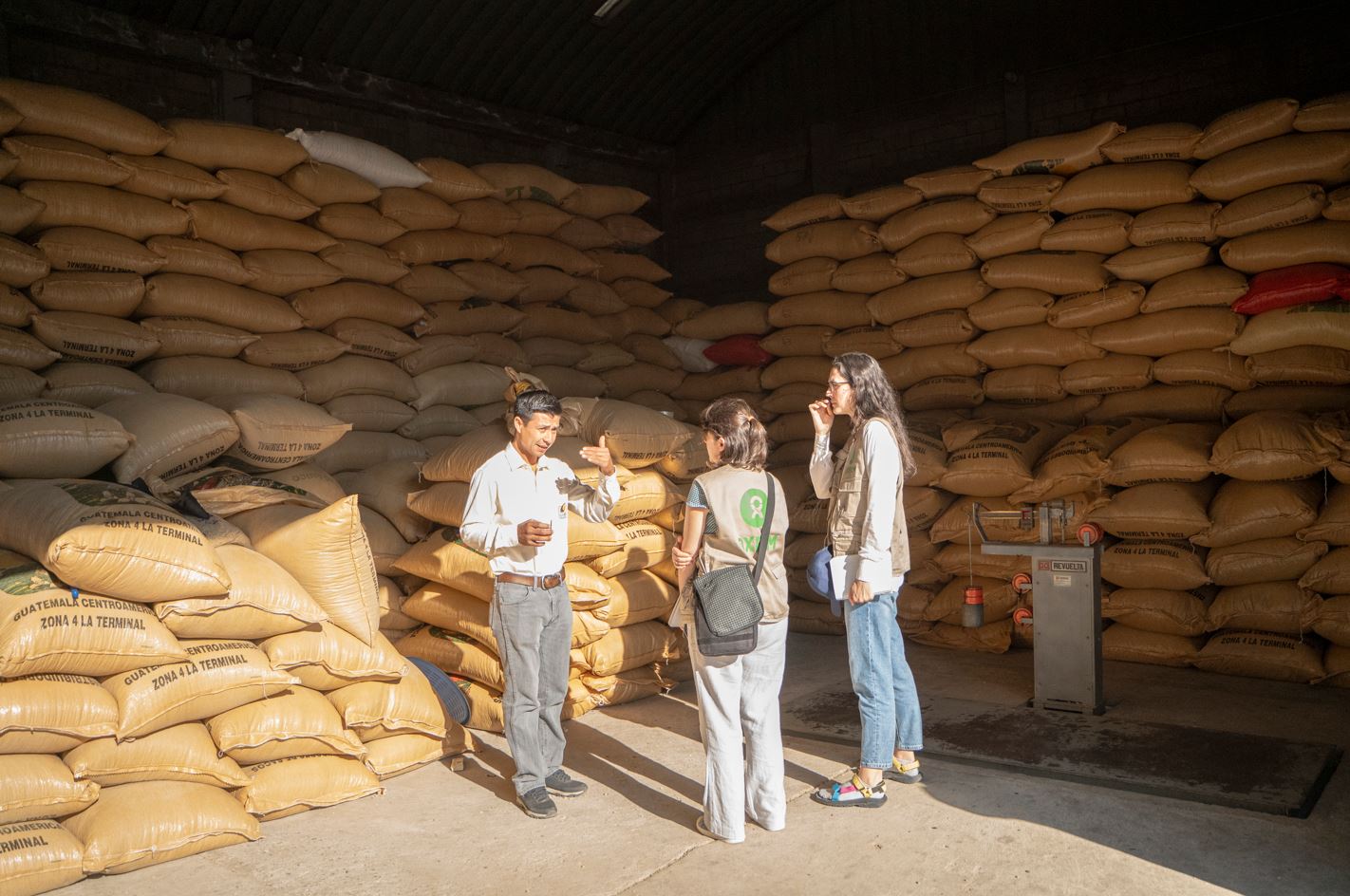 Los Precios del Café Alcanzan un Récord Histórico: El Impacto de LA CRISIS ClimáticA y la Especulación en los Pequeños Productores