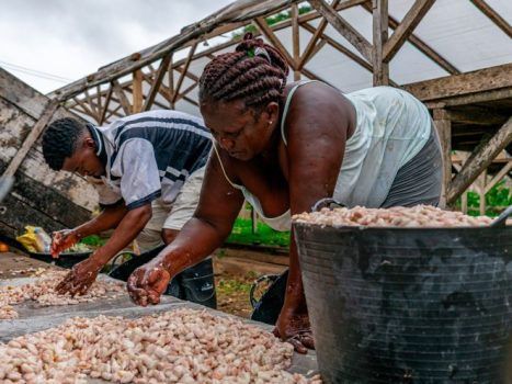 Albertina, el cacao y una alianza que transforma vidas